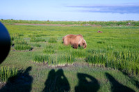 Alaska-89