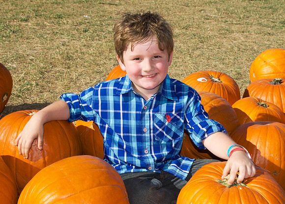 Pumpkin Patch