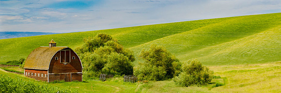 Pastoral