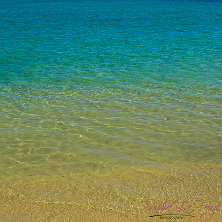 Pull of the Ocean