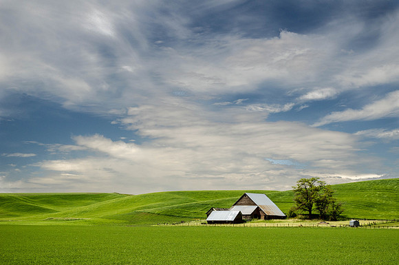 Saving the Barns