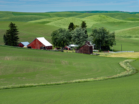 Pastoral Scene