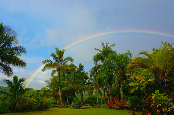 High on Rainbows
