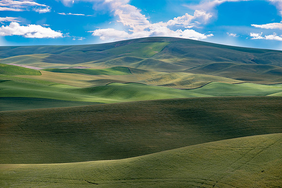 Rolling Green