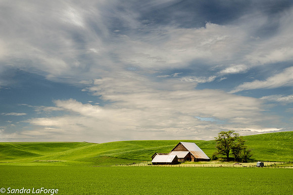 Sky and Barn