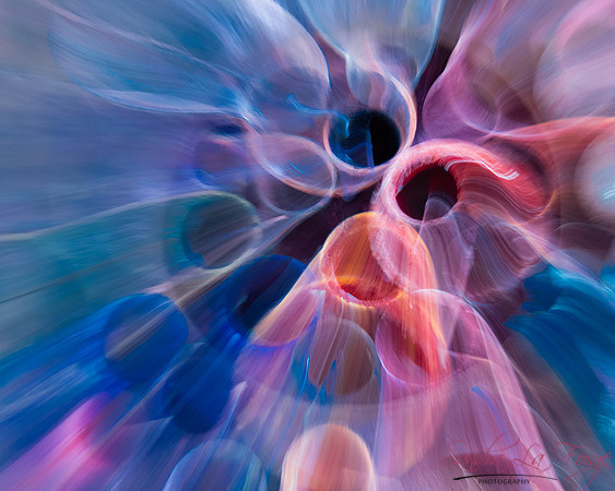 abstracts