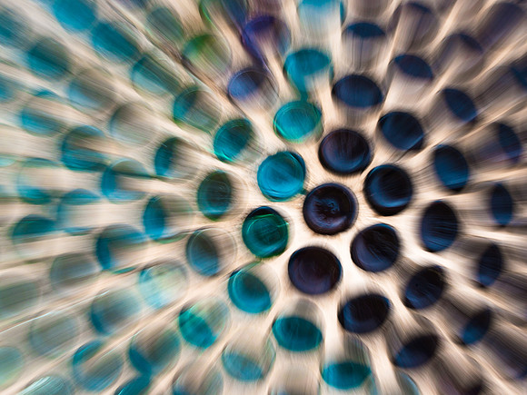 SODA BOTTLES