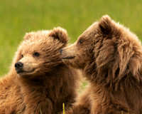 Alaska-37