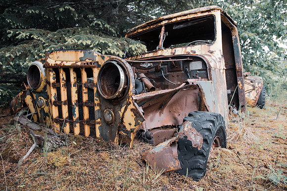 PUT TO PASTURE