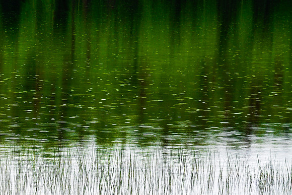 Pretty Little Raindrops