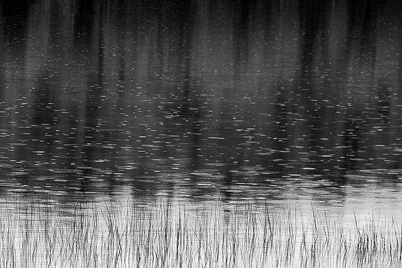 Pretty Little Raindrops