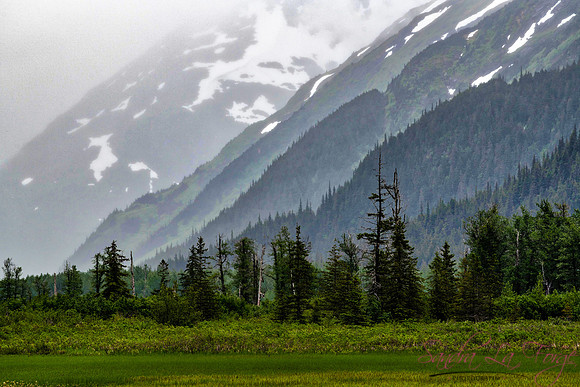 Alaska-14