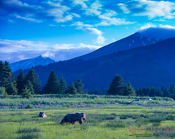 Alaska-91