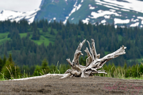 Alaska-93
