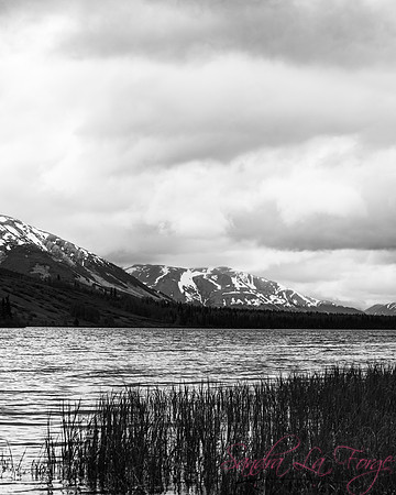 Alaska