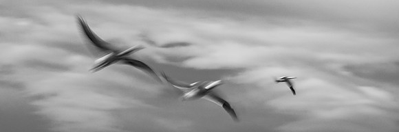 Soaring to New Heights