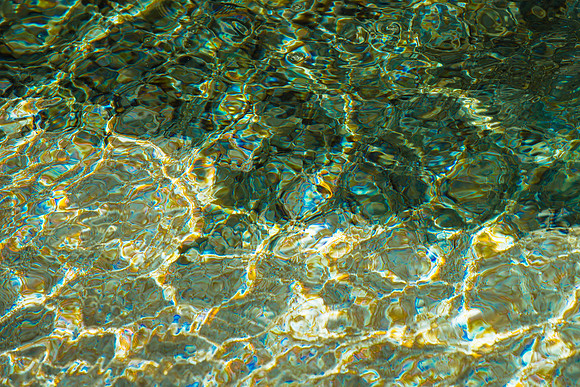TIDEPOOLS