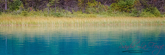 SHORELINE