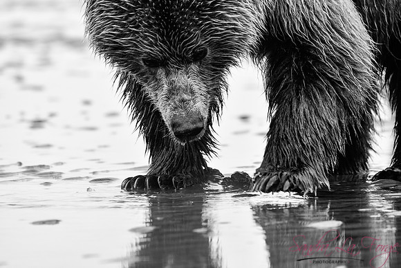 Alaska-67