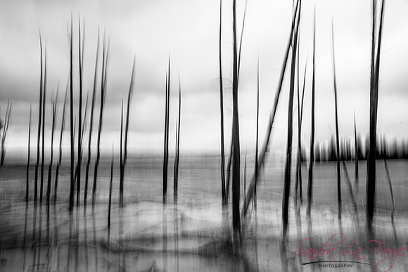 Stick Figures BW