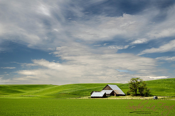 Saving the Barns