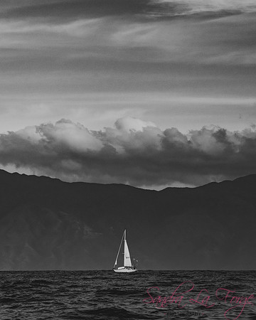 Sail On