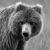 Alaska-42