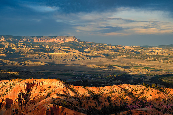 Bryce