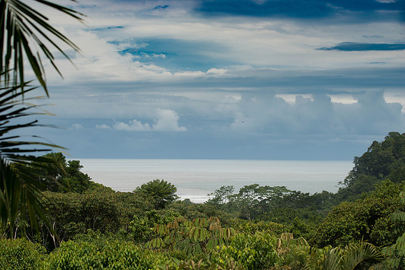 Room with a View
