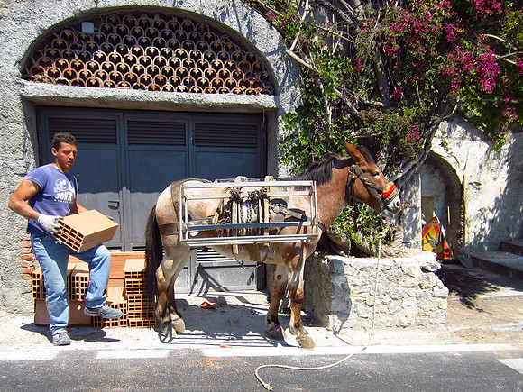 Worker on Italian Coast