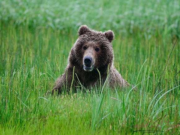 Alaska-62