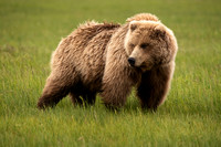 Alaska-38