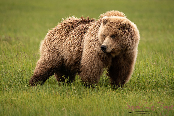 Alaska-38