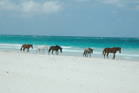Harbour Island, Bahamas